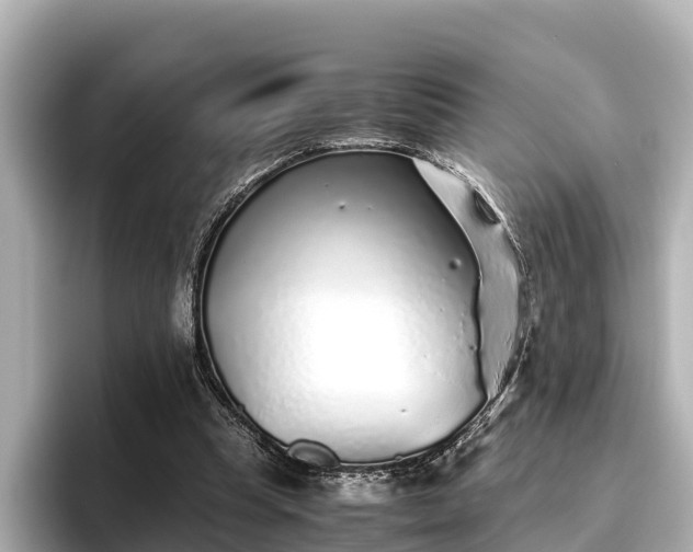 X0000096420345200801311417