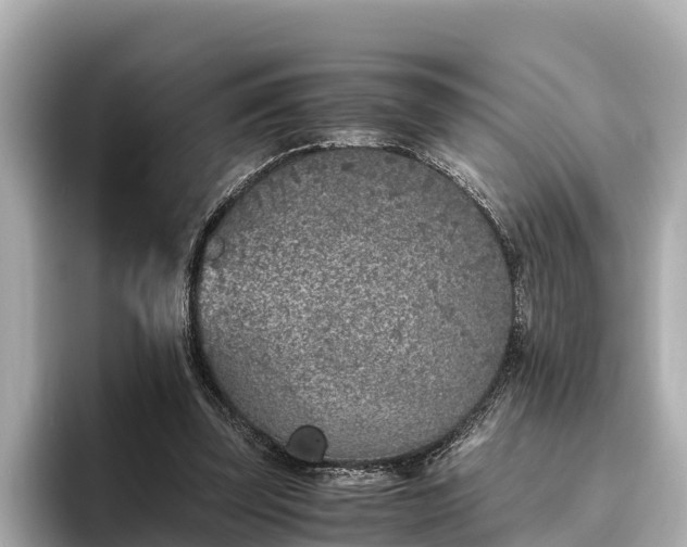 X0000096420347200801311417