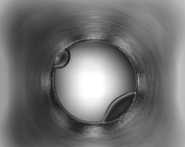 X0000096420348200801311417