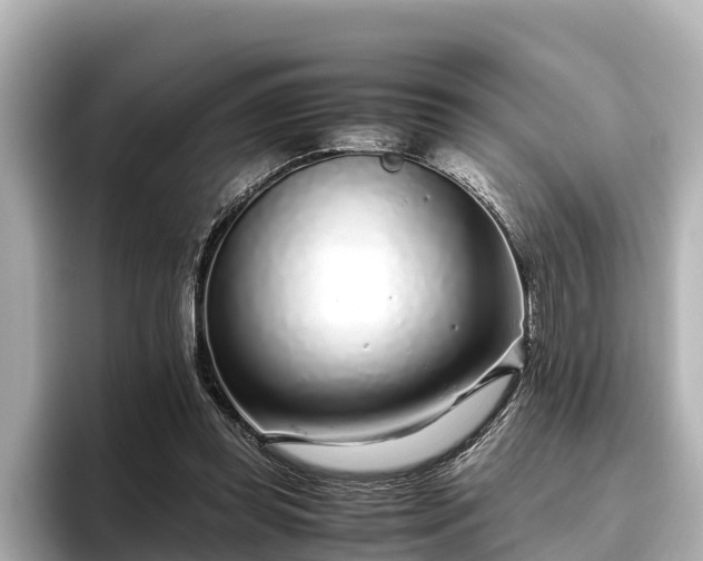 X0000096420349200801311417