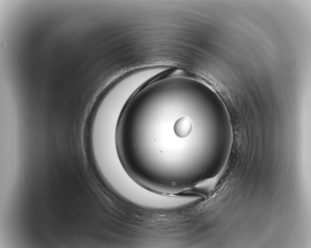 X0000096420350200801311417