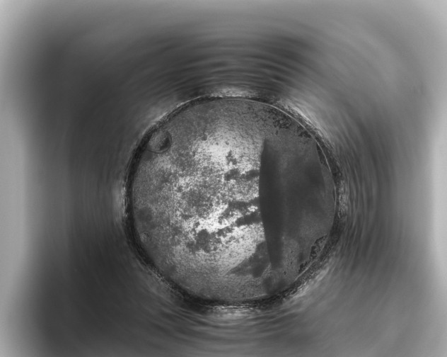 X0000096420351200801311417