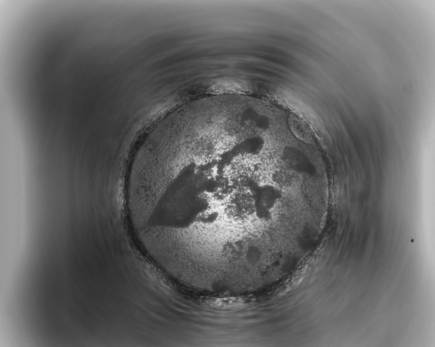 X0000096420353200801311417