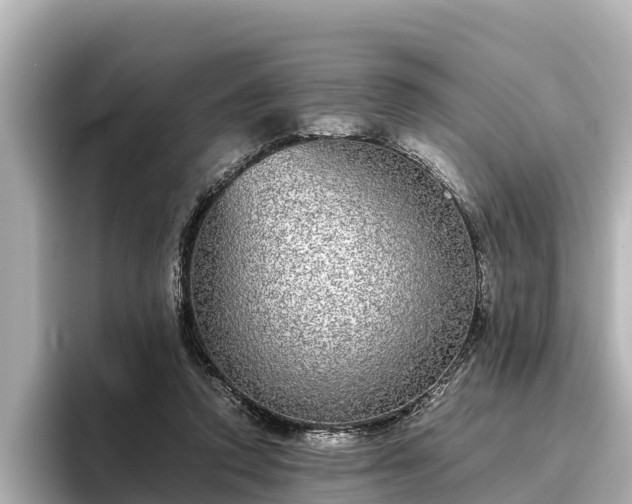 X0000096420354200801311417