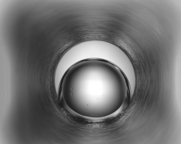 X0000096420356200801311417