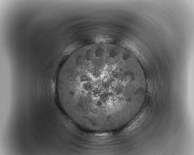 X0000096420357200801311417