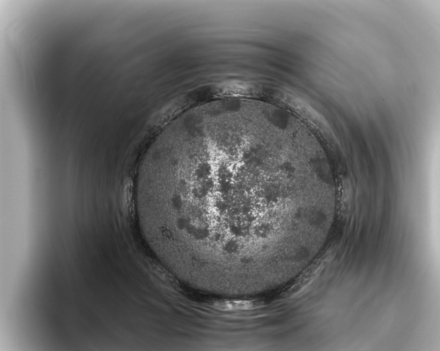 X0000096420361200801311417