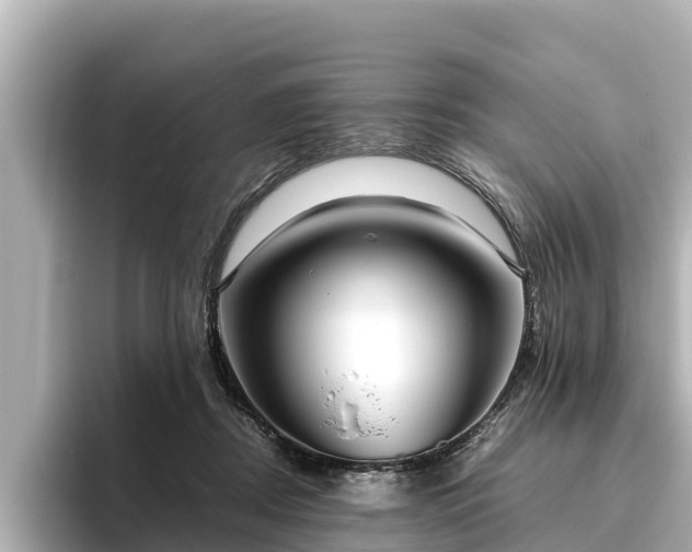 X0000096420362200801311417