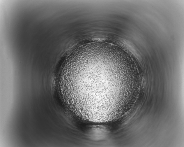 X0000096420363200801311417