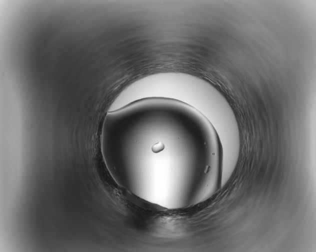 X0000096420364200801311417