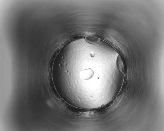 X0000096420366200801311417