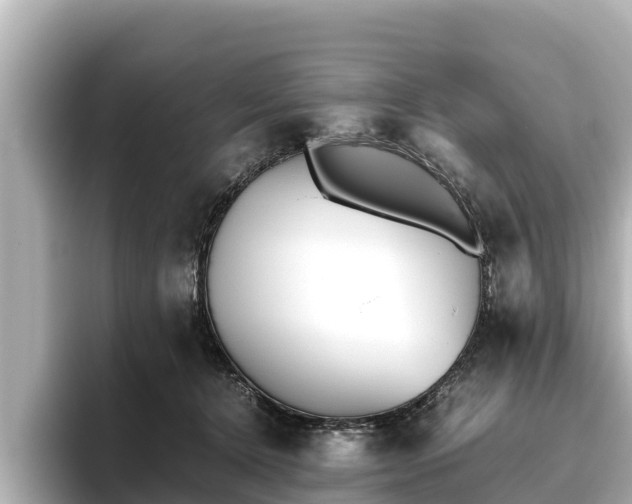 X0000096420368200801311417