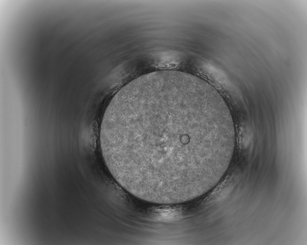 X0000096420370200801311417