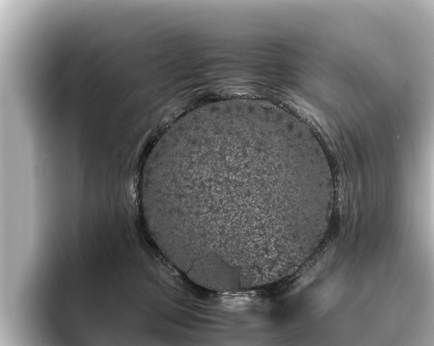 X0000096420373200801311417