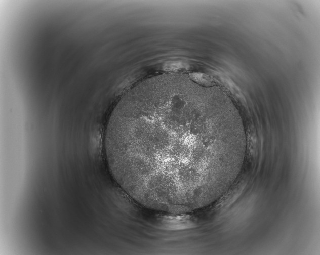 X0000096420375200801311417