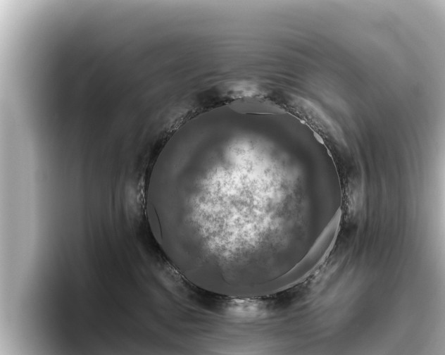 X0000096420376200801311417