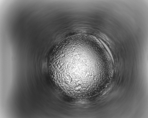 X0000096420377200801311417