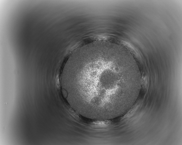 X0000096420381200801311417