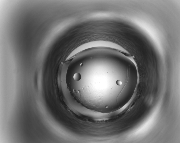 X0000096420382200801311417