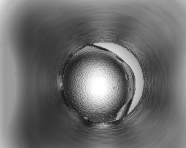 X0000096420383200801311417