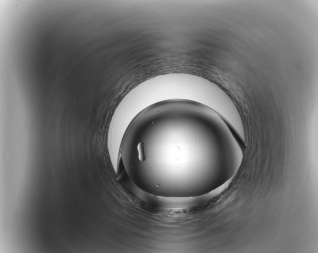 X0000096420384200801311417