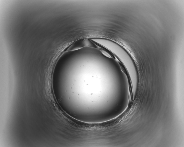 X0000096420385200801311416