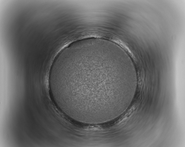 X0000096420386200801311416