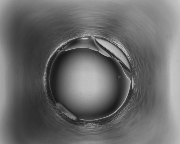 X0000096420387200801311416