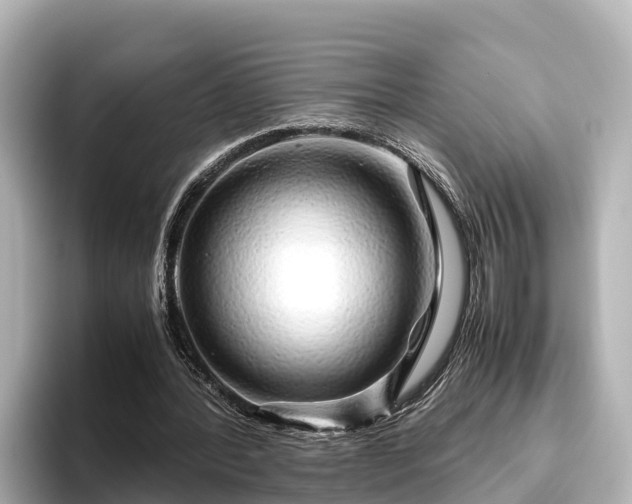 X0000096420388200801311416