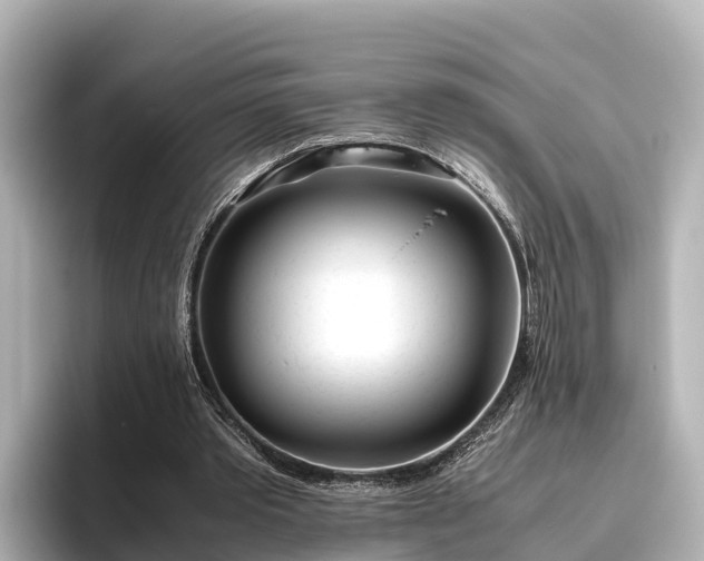 X0000096420389200801311416