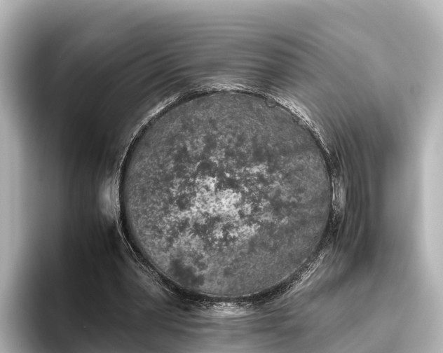 X0000096420390200801311416