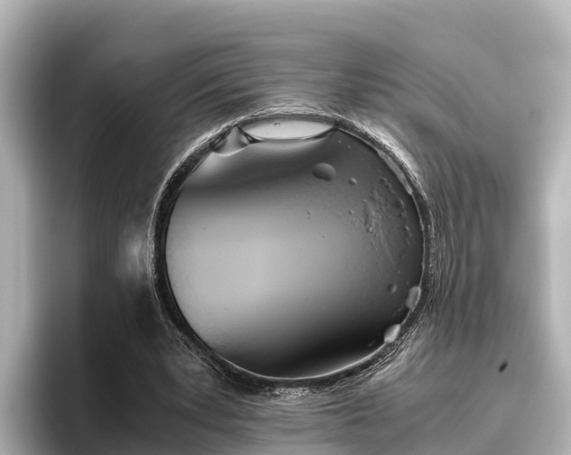 X0000096420391200801311416