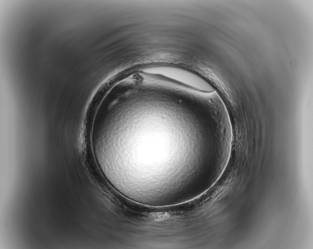 X0000096420392200801311416