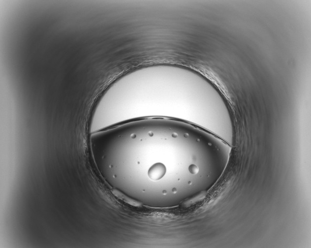 X0000096420393200801311416