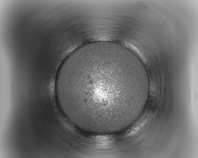 X0000096420394200801311416