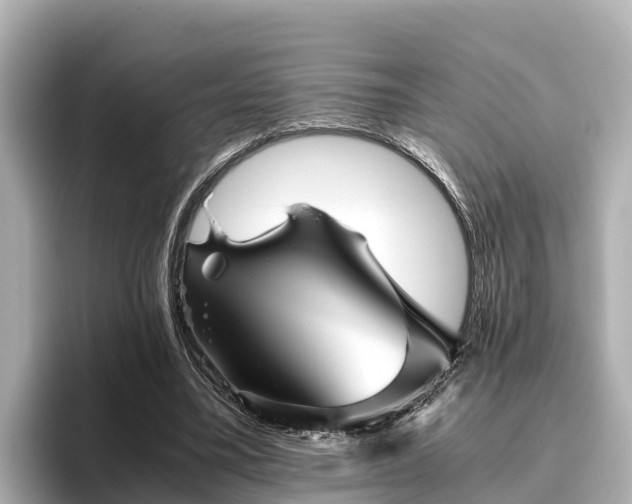 X0000096420395200801311416