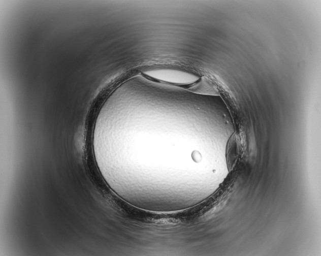 X0000096420396200801311416