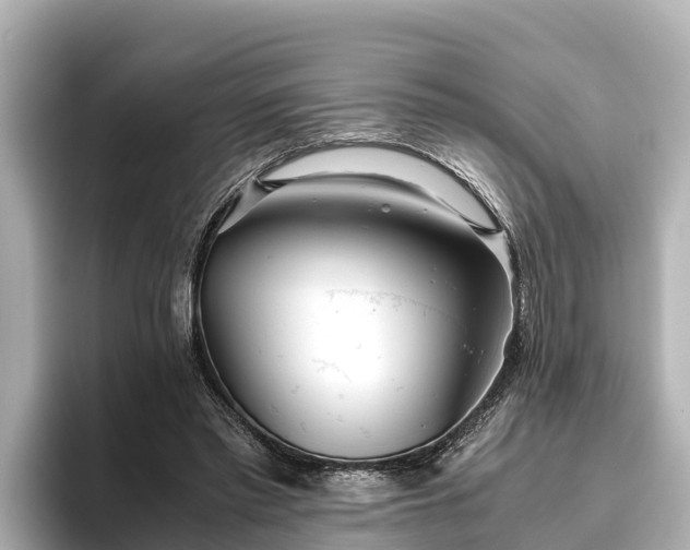 X0000096420397200801311416