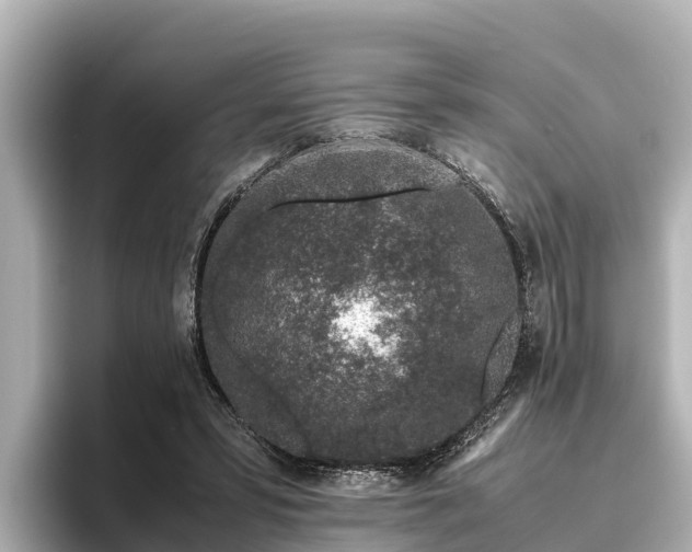 X0000096420399200801311416