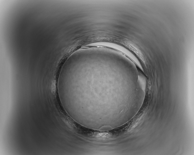 X0000096420401200801311416