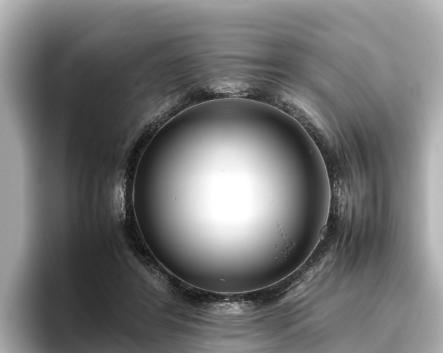 X0000096420404200801311416