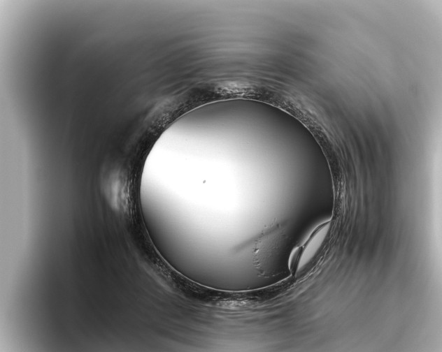 X0000096420408200801311416