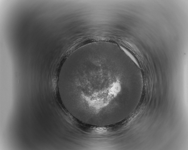 X0000096420409200801311416