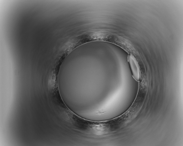 X0000096420411200801311416