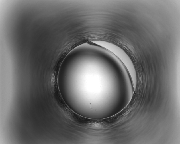 X0000096420412200801311416