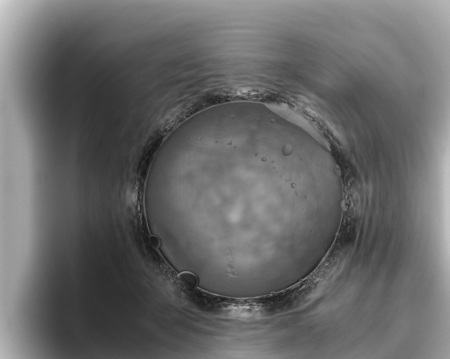 X0000096420415200801311416