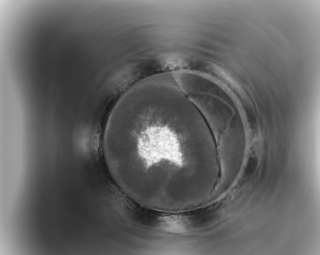 X0000096420417200801311416