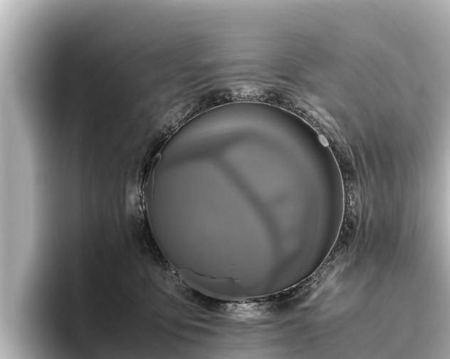 X0000096420419200801311416