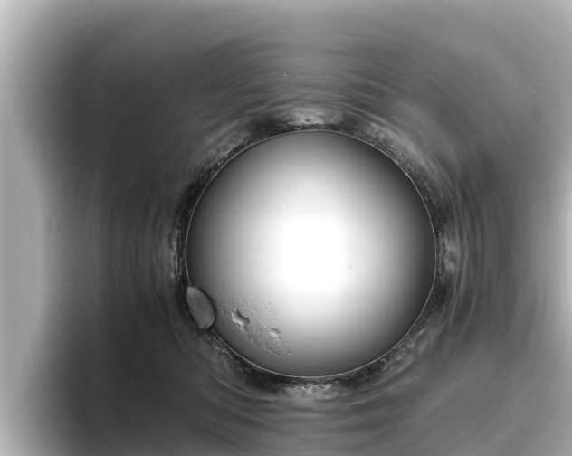 X0000096420422200801311416