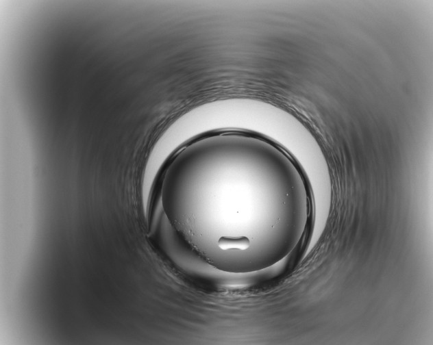 X0000096420423200801311416